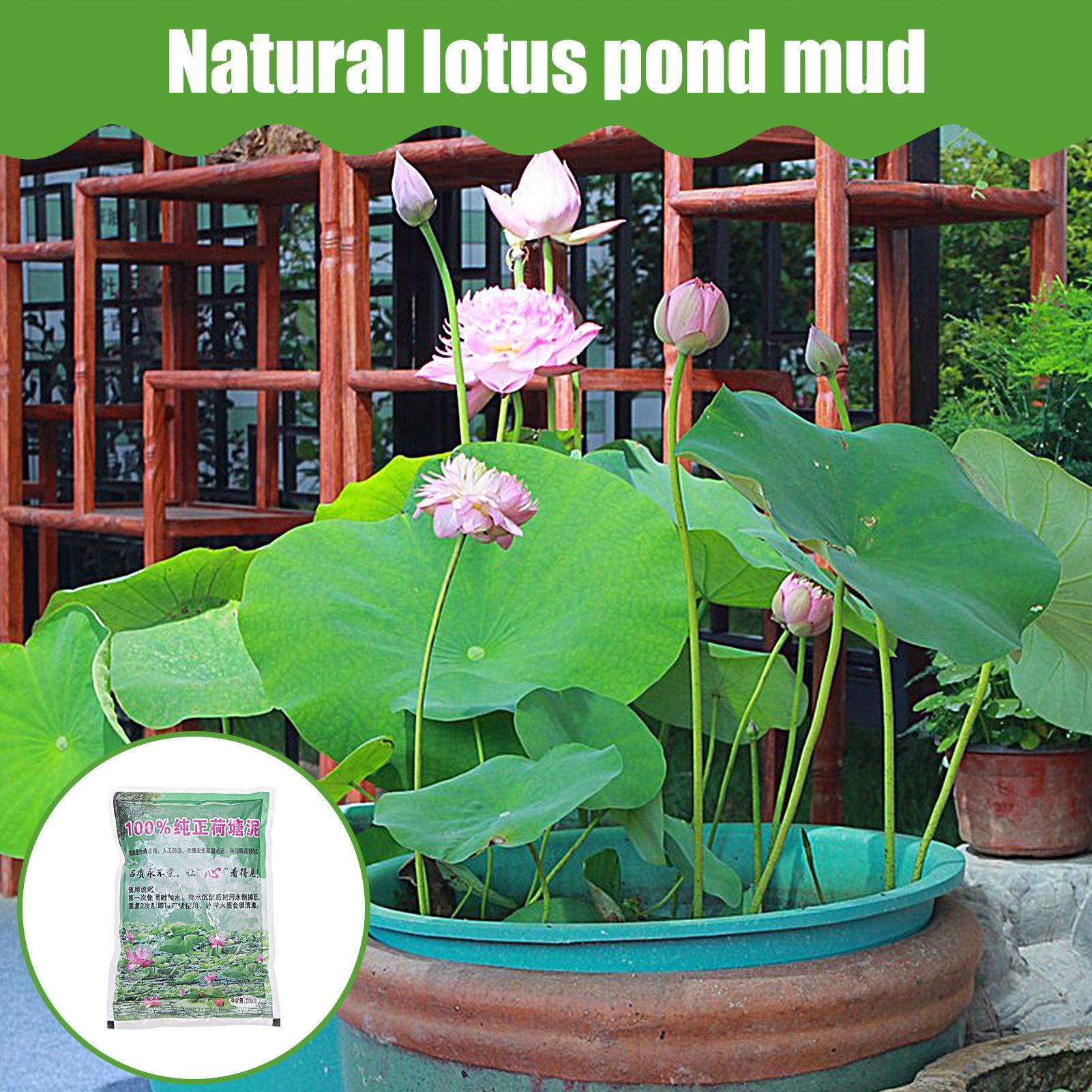 200g/bag Aquarium Soil Natural - đánh giá và giá Aquarium Plant Seeds