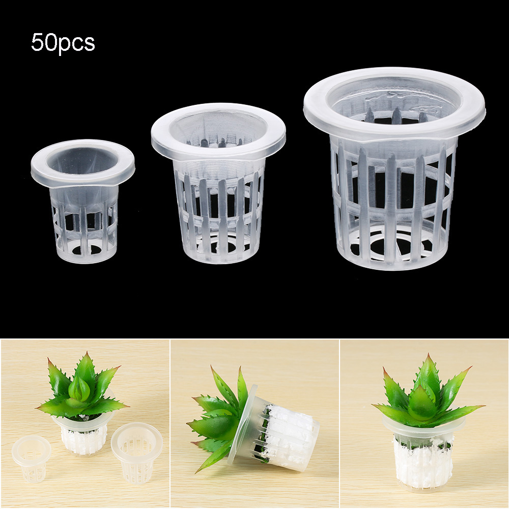10/50pcs Garden Supplies Aquar - đánh giá và giá Aquarium Plant Seeds