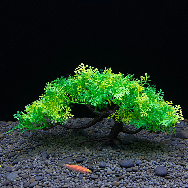 Aquarium bonsai tree, plant, f - đánh giá và giá Aquarium Plant Seeds