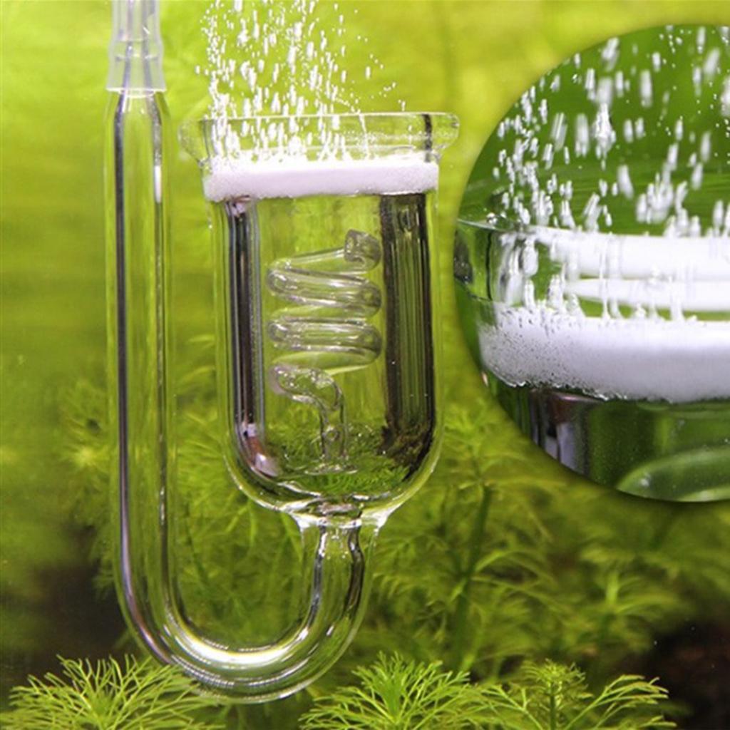 Durable Glass CO2 Diffuser Aqu - đánh giá và giá Aquarium Planted Set Up