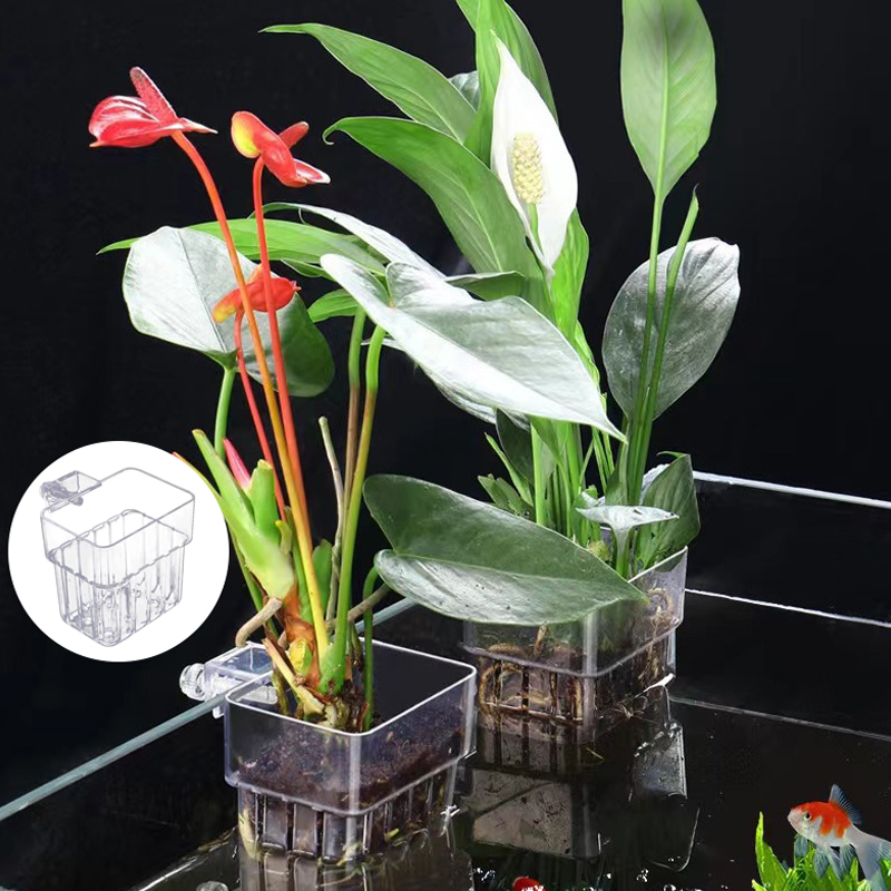 Multifunctional Fish Aquarium  - đánh giá và giá Aquarium Planted Fish Tank
