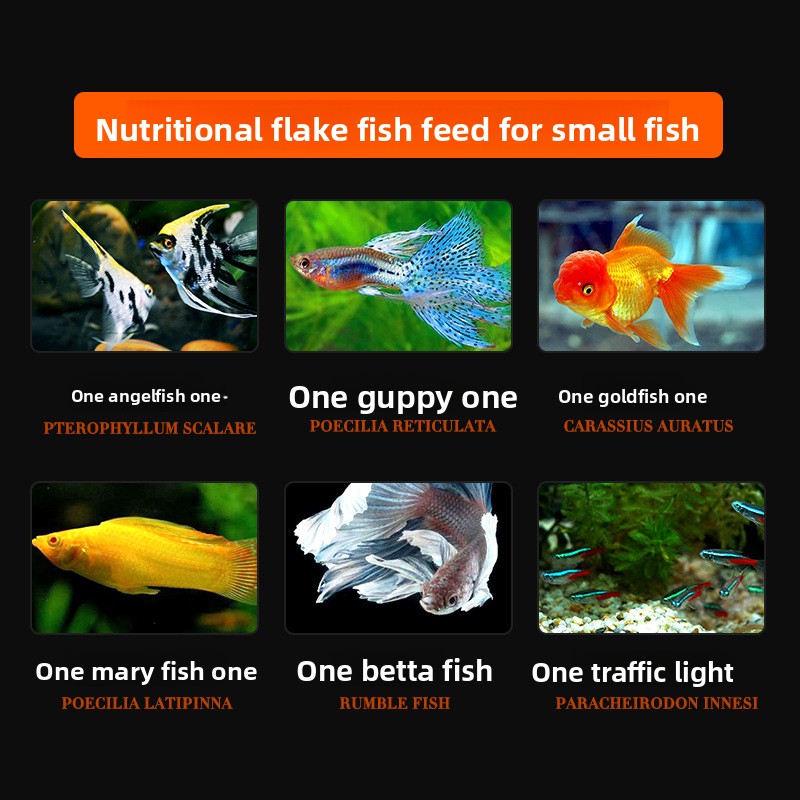 DaJiaWa Spirulina Flake Fish F - đánh giá và giá Tetra Food Tropical Flakes