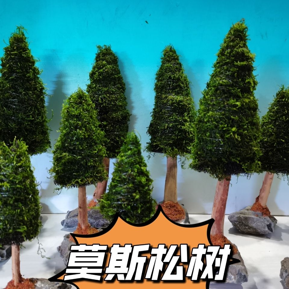 Trang Trí Bể Cá Thực Vật Thủy  - đánh giá và giá Aquarium Plant Seeds