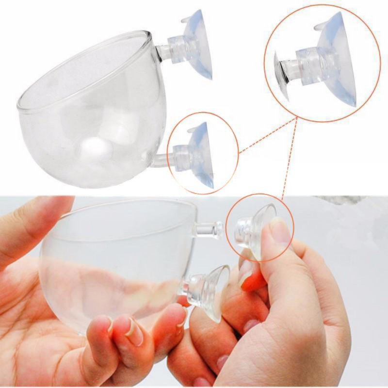 Aquarium Hanging Plant Pot Gla - đánh giá và giá Aquarium Plant Seeds
