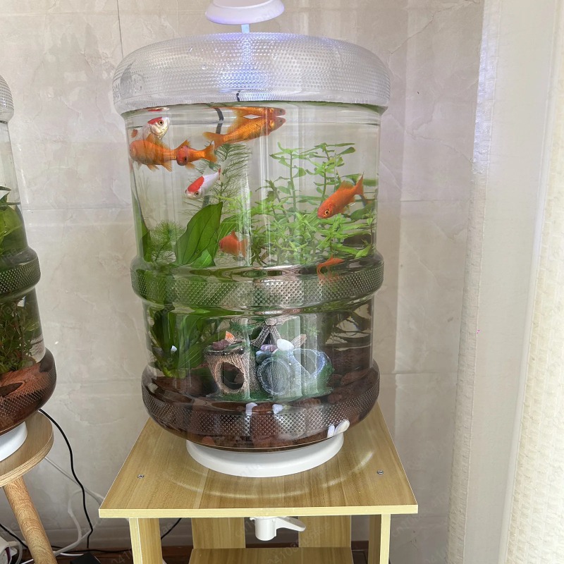 Instant Setup Home Fish Tank 3 - đánh giá và giá Aquarium Planted Set Up