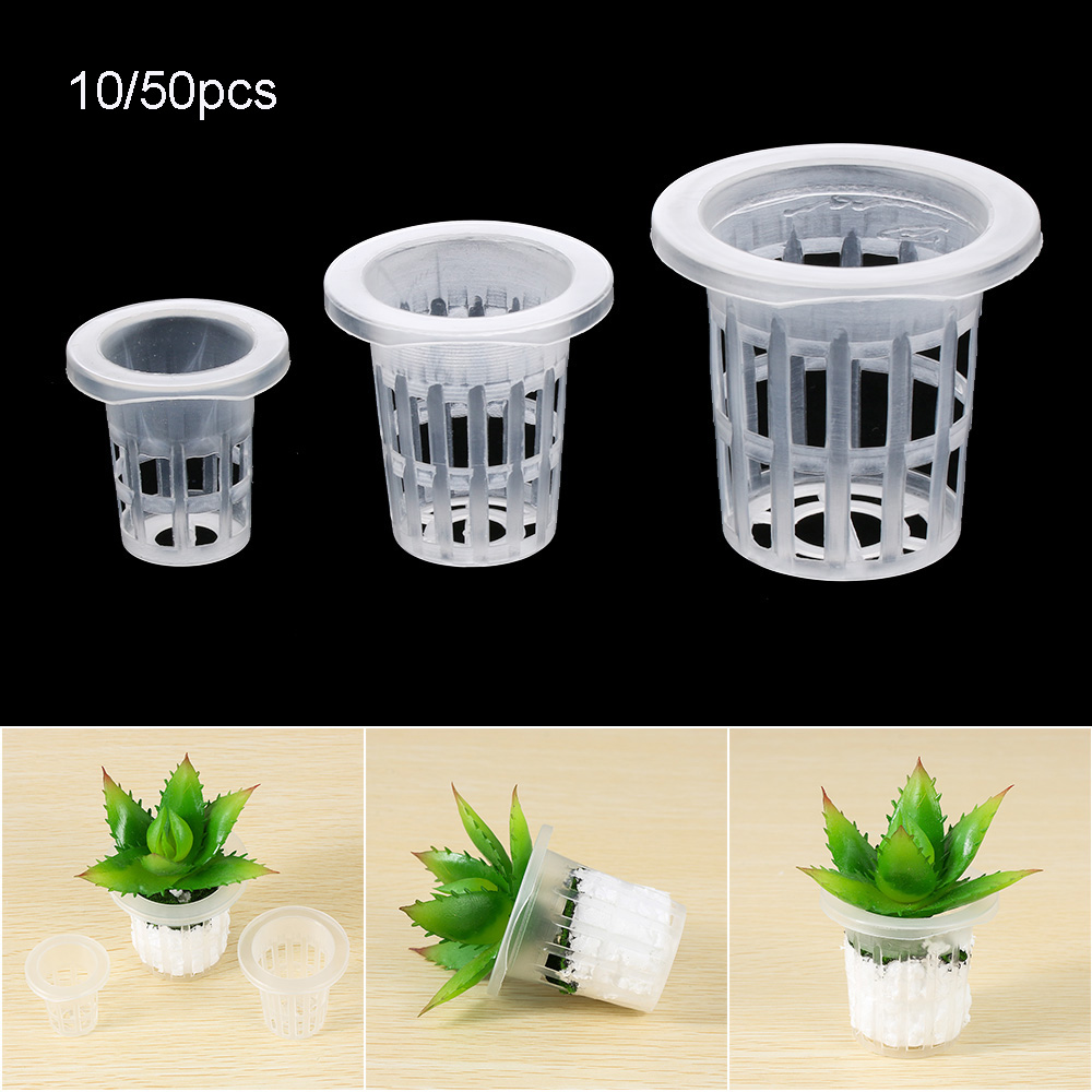 10/50pcs Durable Planting Aqua - đánh giá và giá Aquarium Plant Seeds