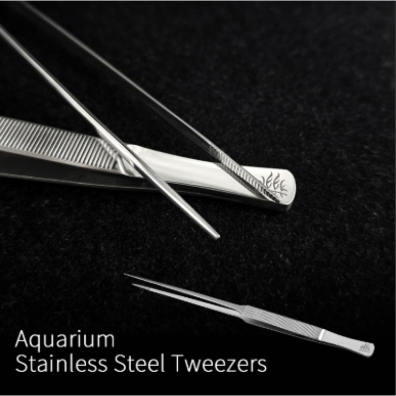 Week Aqua Stainless Steel Aqua - đánh giá và giá Planted Aquarium Aquascape