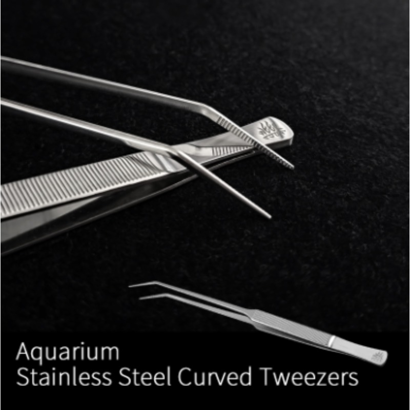 Week Aqua Stainless Steel Aqua - đánh giá và giá Planted Aquarium Aquascape