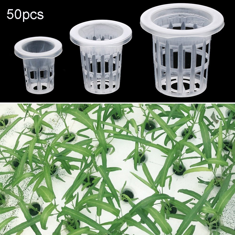 10/50pcs Garden Supplies Plant - đánh giá và giá Aquarium Plant Seeds