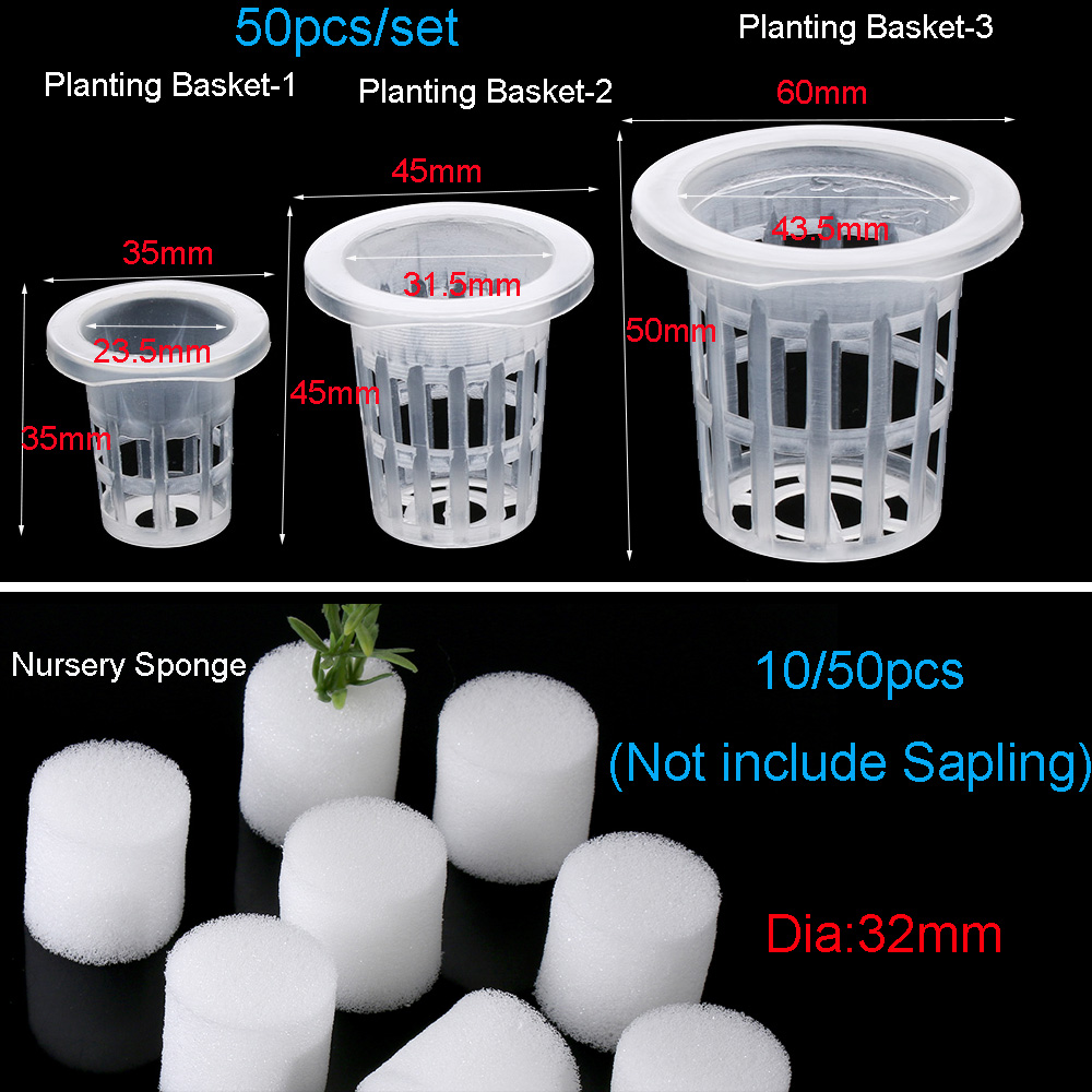 10/50pcs Garden Supplies Plant - đánh giá và giá Aquarium Plant Seeds